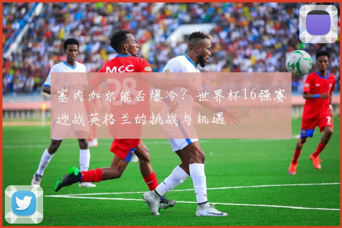 塞内加尔能否爆冷？世界杯16强赛迎战英格兰的挑战与机遇