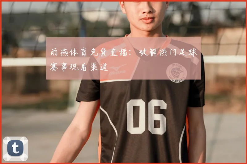 雨燕体育免费直播：破解热门足球赛事观看渠道
